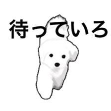 Life of Maltese sticker #9999065