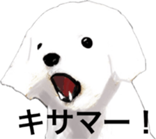 Life of Maltese sticker #9999070