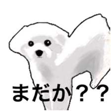 Life of Maltese sticker #9999086