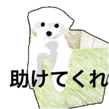 Life of Maltese sticker #9999087