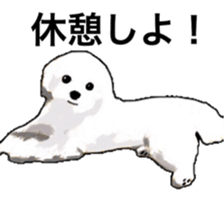 Life of Maltese sticker #9999092