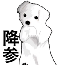 Life of Maltese sticker #9999097