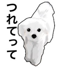 Life of Maltese sticker #9999098