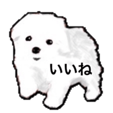Life of Maltese sticker #9999099