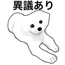 Life of Maltese sticker #9999100