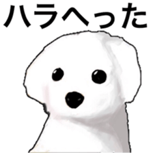 Life of Maltese sticker #9999101