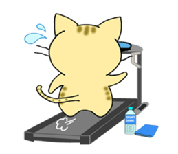 Stickers of three cats 3 sticker #9999215