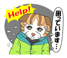 Women's staff of smelt fishing club sticker #10000493