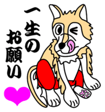 OOKAMIYO BOKU-C 4 sticker #10000937