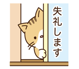 Cat of moderate honorific sticker #10002529