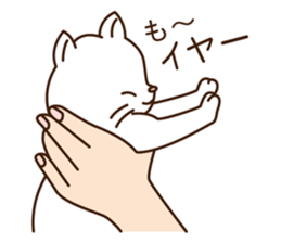 Cat of moderate honorific sticker #10002541