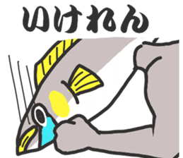 Gujo diaiect.  sweetfish. sticker #10004007