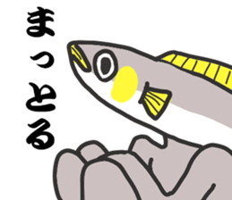 Gujo diaiect.  sweetfish. sticker #10004009