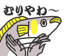 Gujo diaiect.  sweetfish. sticker #10004013