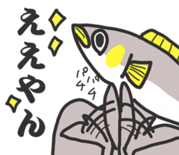 Gujo diaiect.  sweetfish. sticker #10004014