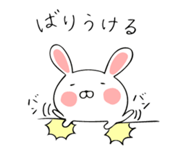 Rabbit Hakata valve sticker #10004294