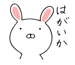 Rabbit Hakata valve sticker #10004301