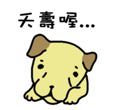 The voice of a smart Taiwan Dog sticker #10005541