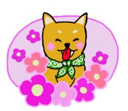 Busakawa dog lovable! Full of dog sticker #10005712