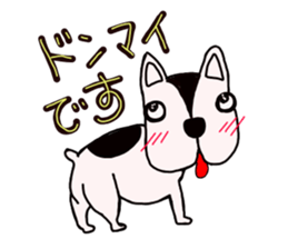 Busakawa dog lovable! Full of dog sticker #10005724