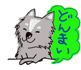 Busakawa dog lovable! Full of dog sticker #10005725