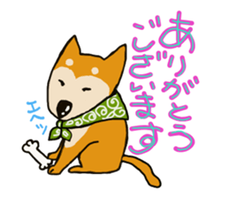 Busakawa dog lovable! Full of dog sticker #10005731