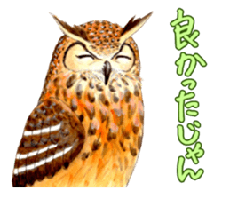Cute horned owl Real style version sticker #10006401