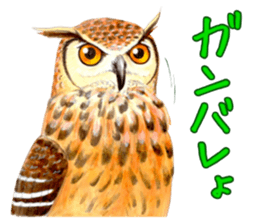 Cute horned owl Real style version sticker #10006402
