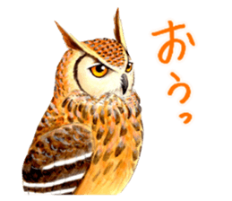 Cute horned owl Real style version sticker #10006403