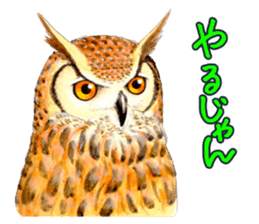 Cute horned owl Real style version sticker #10006404