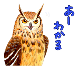 Cute horned owl Real style version sticker #10006407