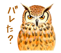 Cute horned owl Real style version sticker #10006408