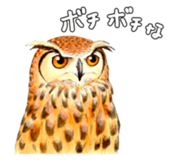 Cute horned owl Real style version sticker #10006410