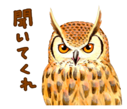 Cute horned owl Real style version sticker #10006413