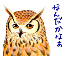 Cute horned owl Real style version sticker #10006414