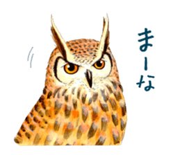 Cute horned owl Real style version sticker #10006416