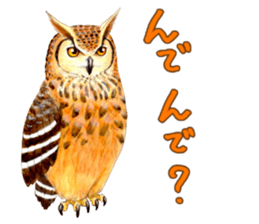 Cute horned owl Real style version sticker #10006418