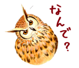 Cute horned owl Real style version sticker #10006419