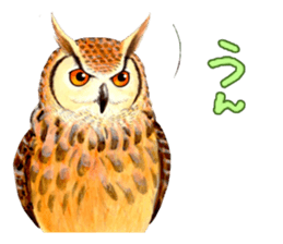 Cute horned owl Real style version sticker #10006420