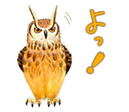 Cute horned owl Real style version sticker #10006421