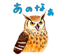 Cute horned owl Real style version sticker #10006427