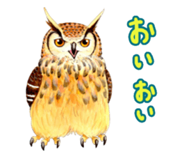 Cute horned owl Real style version sticker #10006428