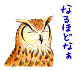 Cute horned owl Real style version sticker #10006432