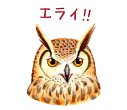 Cute horned owl Real style version sticker #10006433