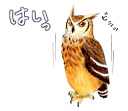 Cute horned owl Real style version sticker #10006438