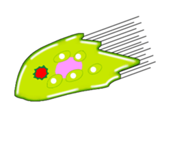 Manga Euglena sticker #10007297