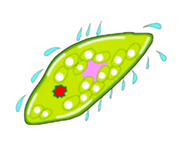 Manga Euglena sticker #10007301
