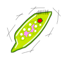 Manga Euglena sticker #10007307