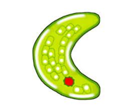 Manga Euglena sticker #10007313