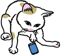 I am a cat.Thank you.5!(English) sticker #10008327